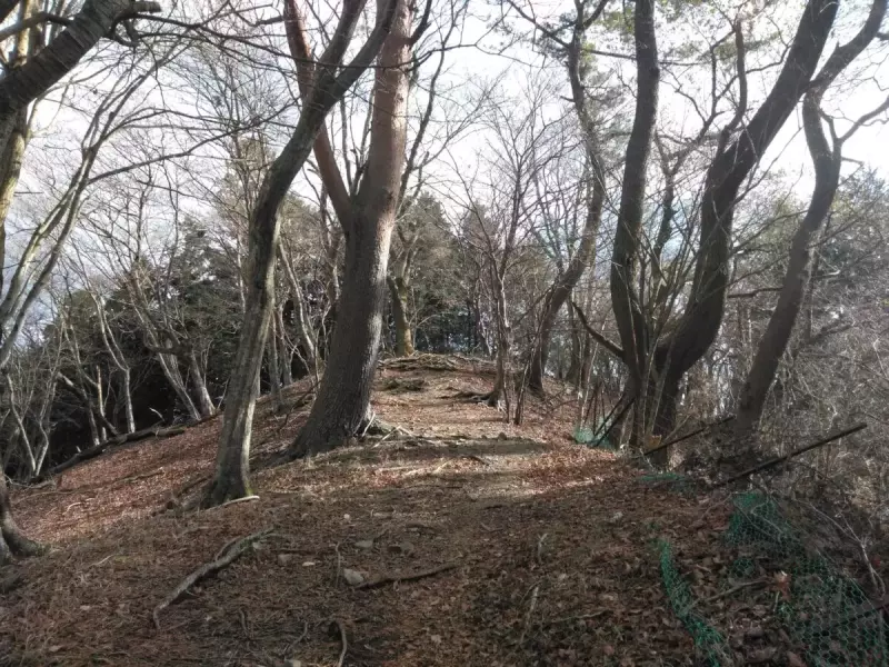 丹沢 鍋割山 寄方面