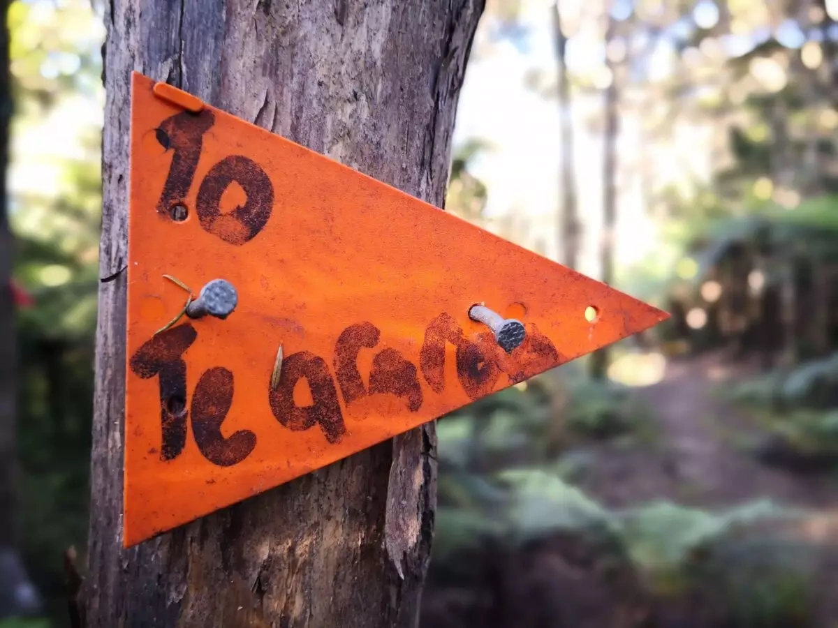 ニュージーランドを1000%楽しむ!ロングトレイル、テアラロアを解剖!