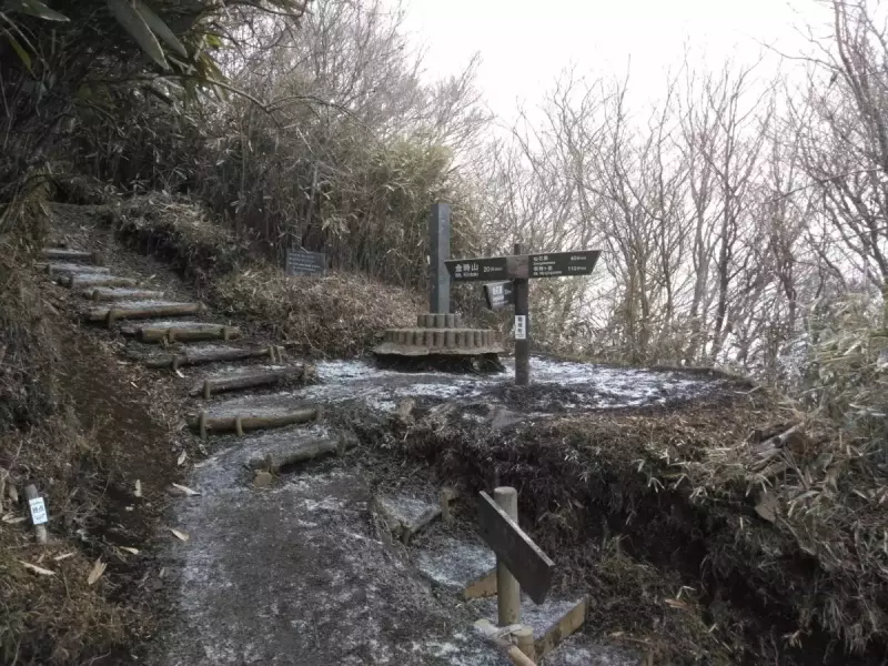 箱根 登山 金時山 登山道