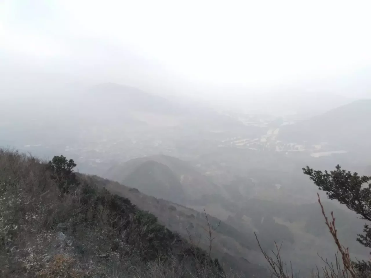 箱根 登山 金時山 眺望