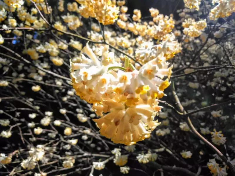春山 登山 おすすめ