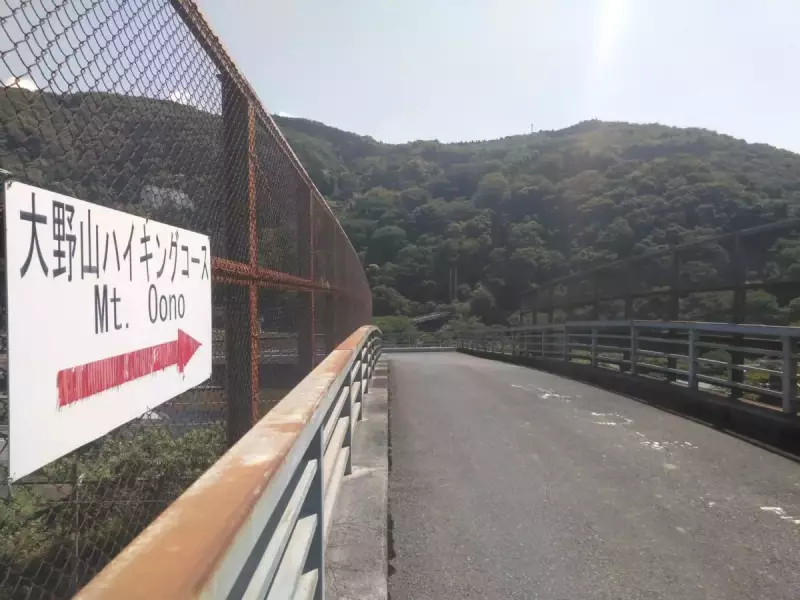 丹沢 大野山 ハイキング コース