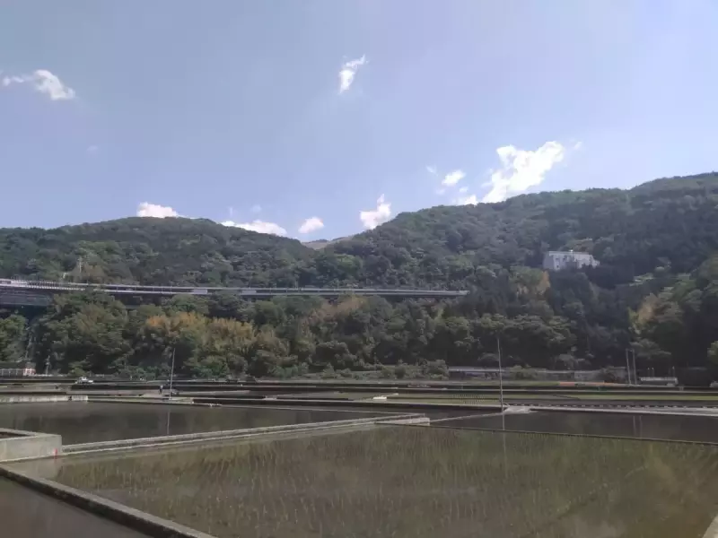 丹沢 大野山 ハイキング 田畑