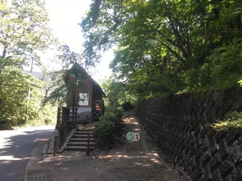 丹沢 大野山 ハイキング 休憩ポイント