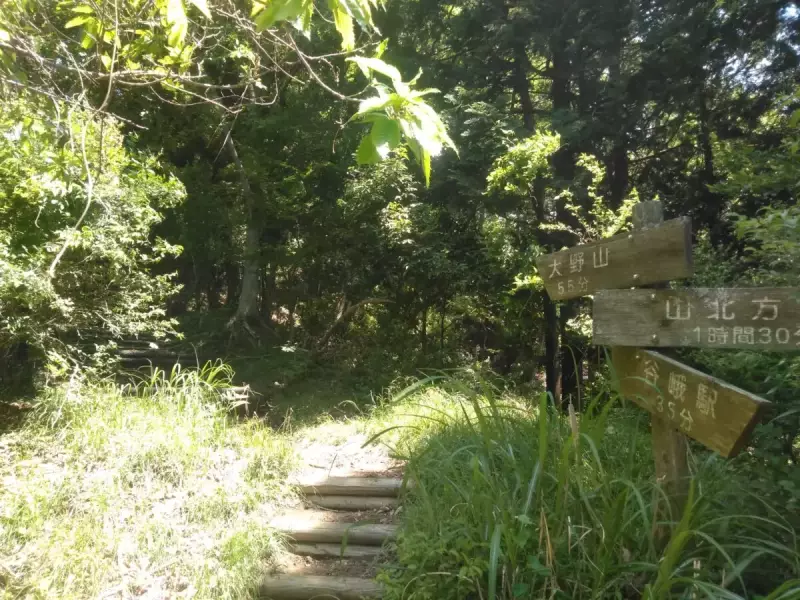 丹沢 大野山 ハイキング 登山道