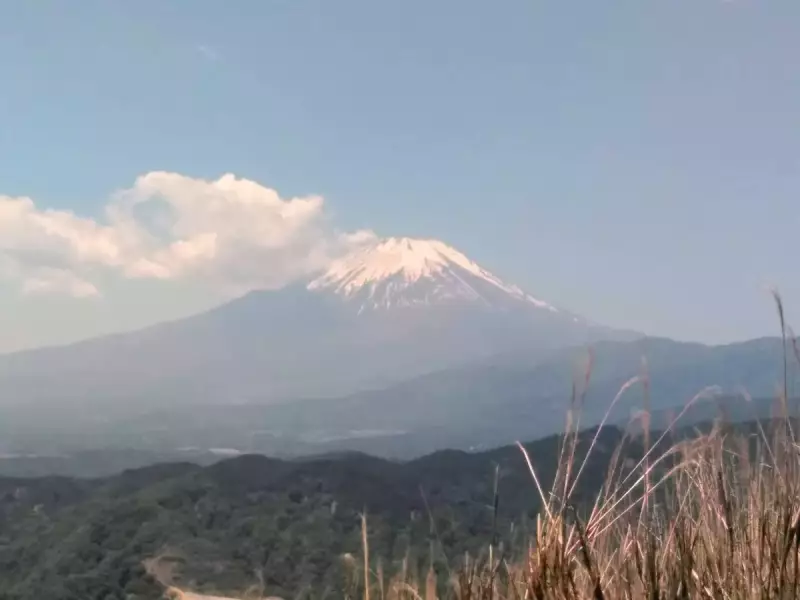 丹沢 大野山 ハイキング 富士山