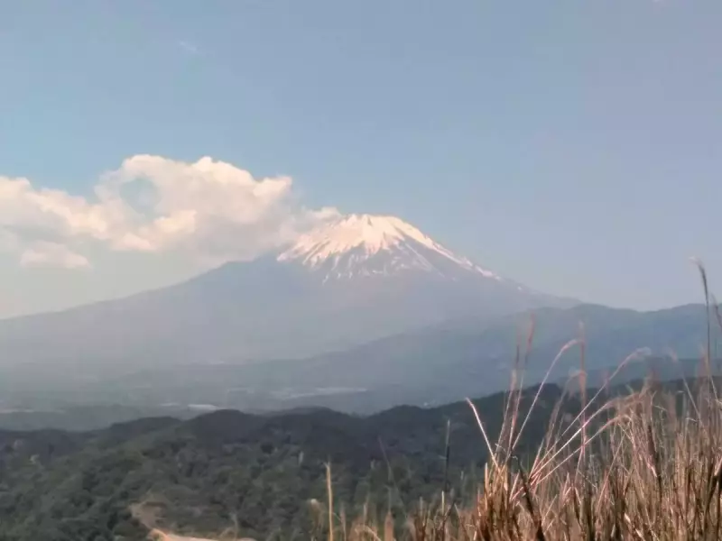 丹沢 大野山 ハイキング 富士山