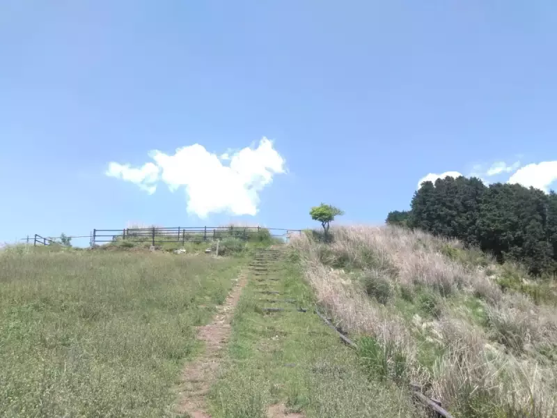 丹沢 大野山 ハイキング 登山道