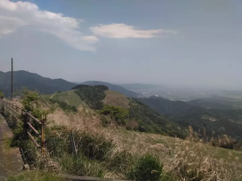 丹沢 大野山 ハイキング 登山道