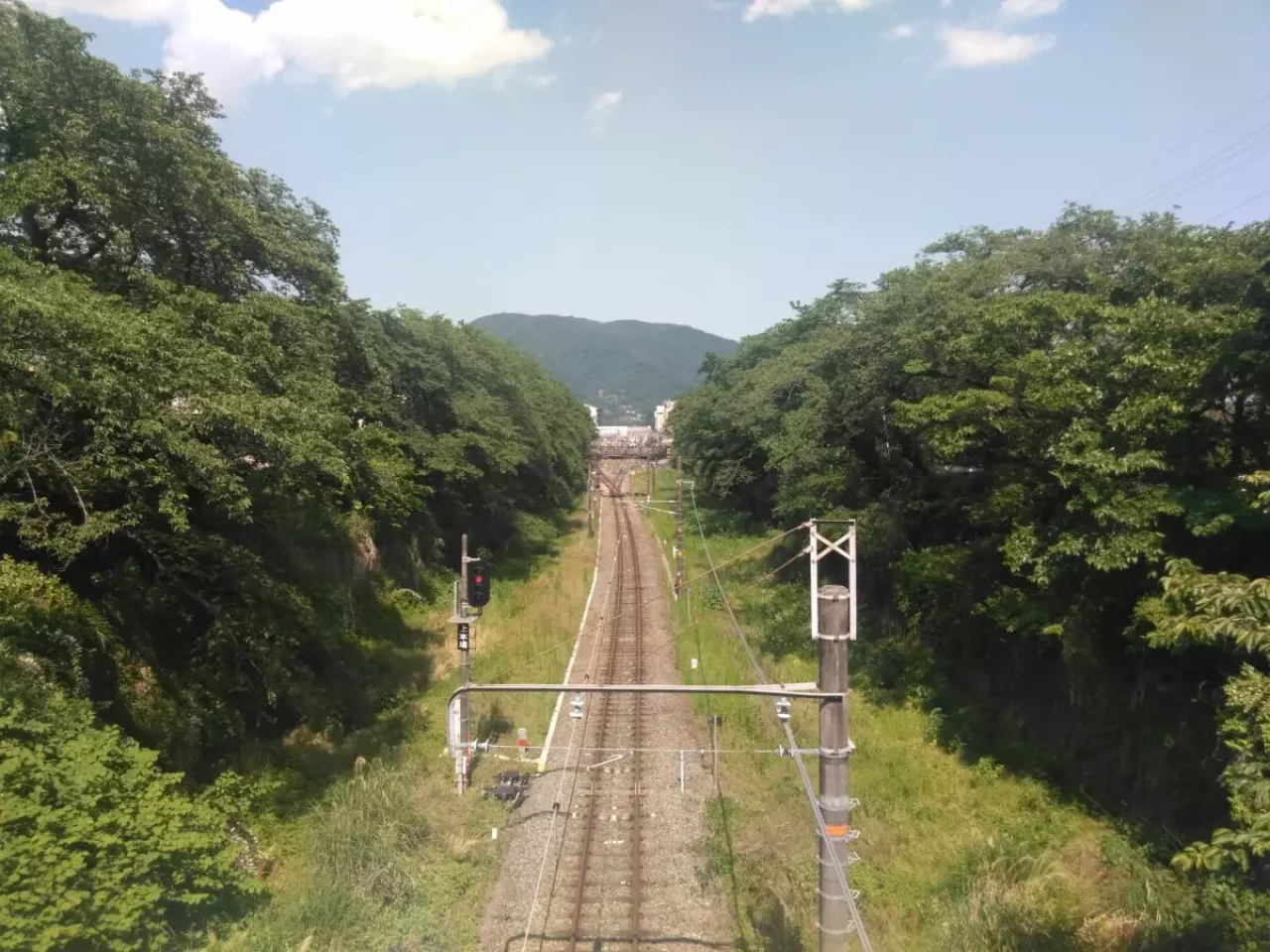 丹沢 大野山 ハイキング 鉄道