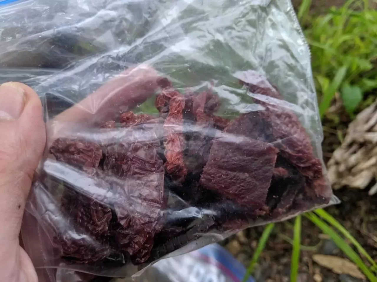 南アルプス縦走のお疲れ会