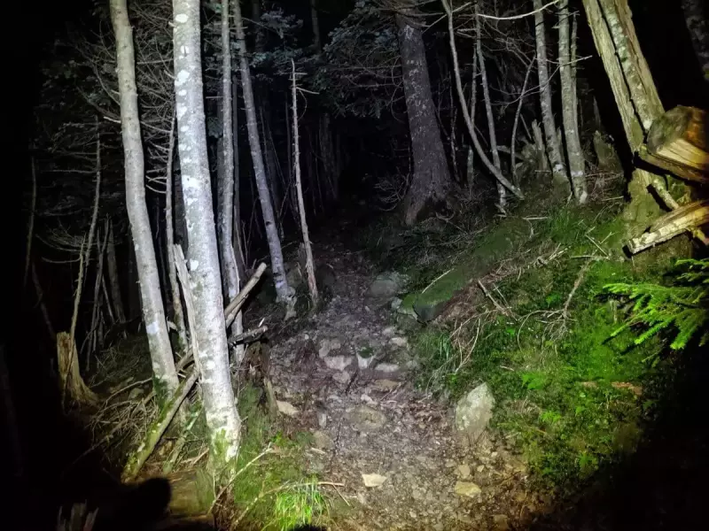 高山避難小屋からの登山道最初は樹林帯