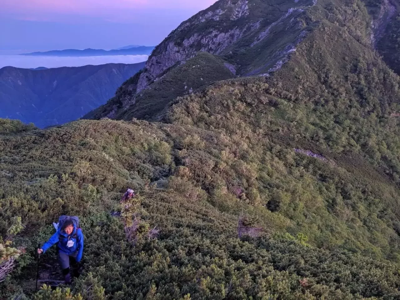 南アルプスの稜線