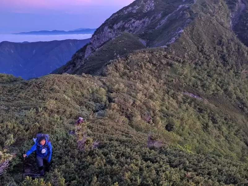 南アルプスの稜線