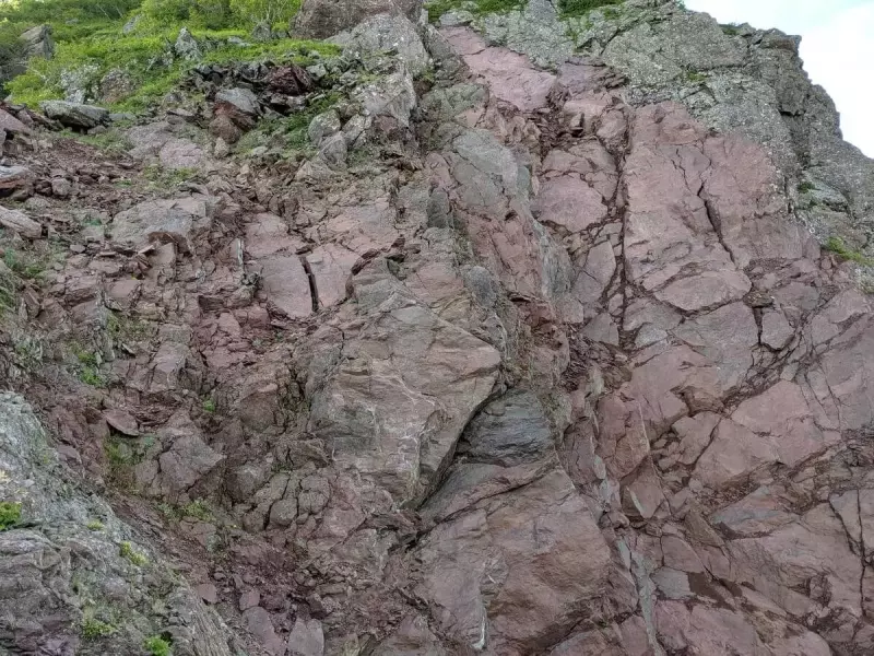 遠洋性深海底堆積物の代表であるチャートが酸化鉄によって赤く見える