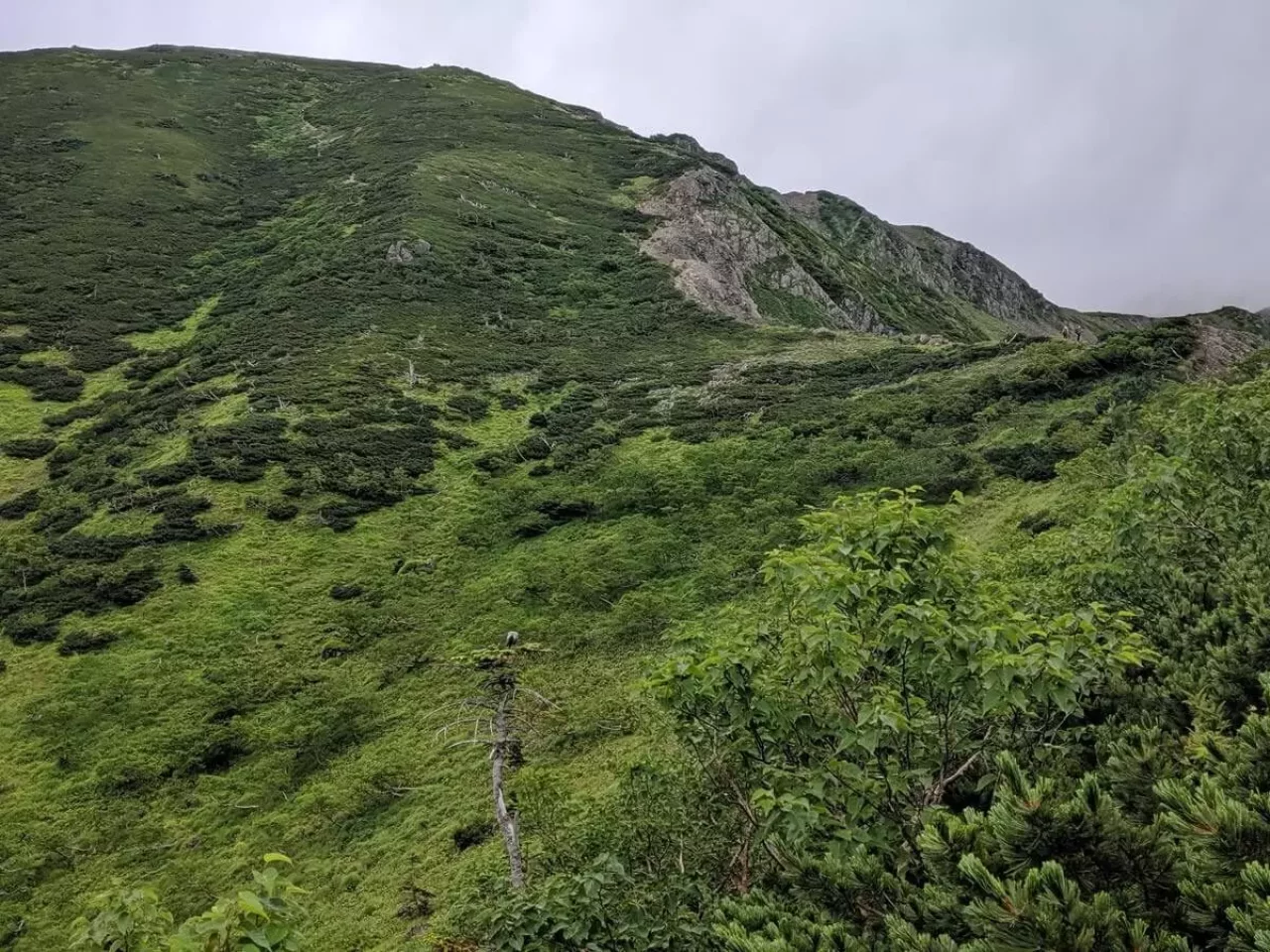 上河内岳の登り