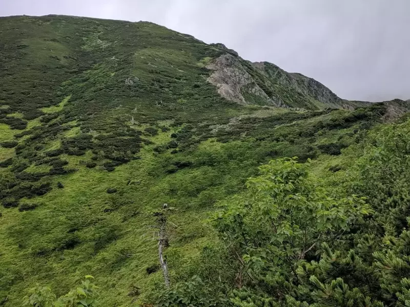 上河内岳の登り