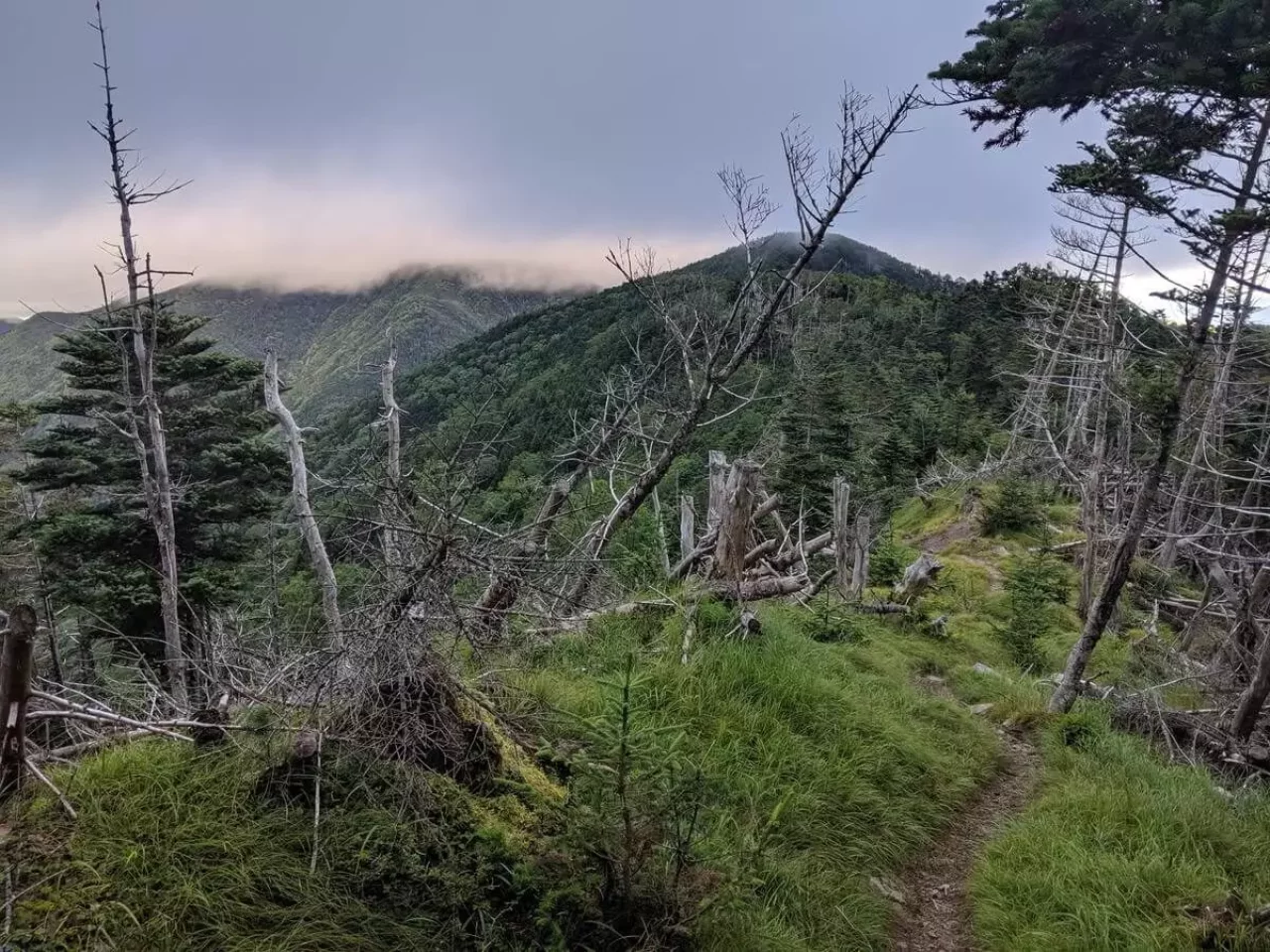 アップダウンの少ないトラバース道