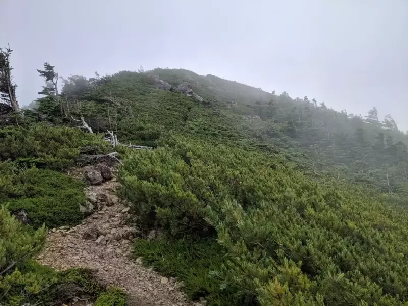仁田岳