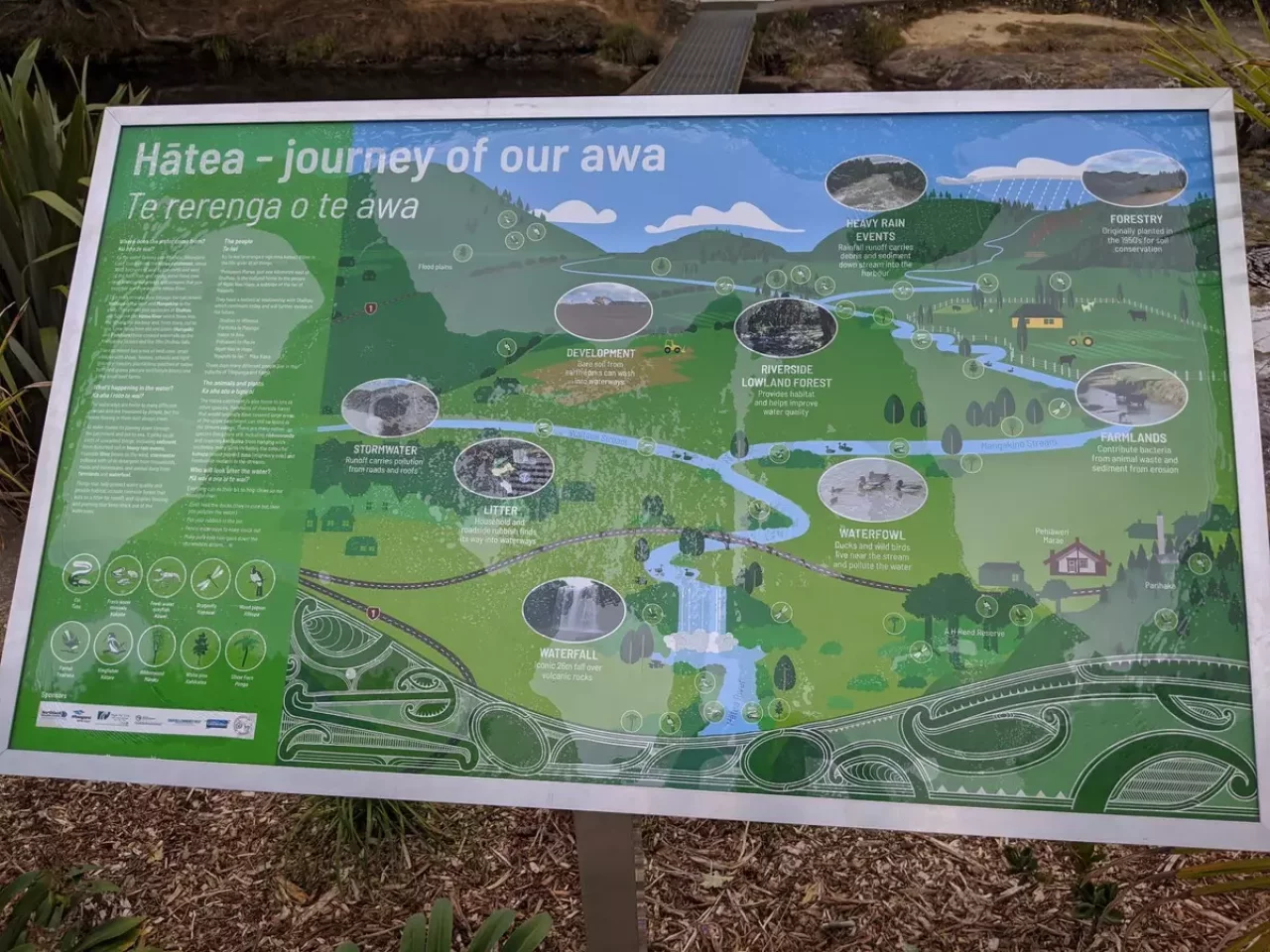 ファンガレイフォールズの森