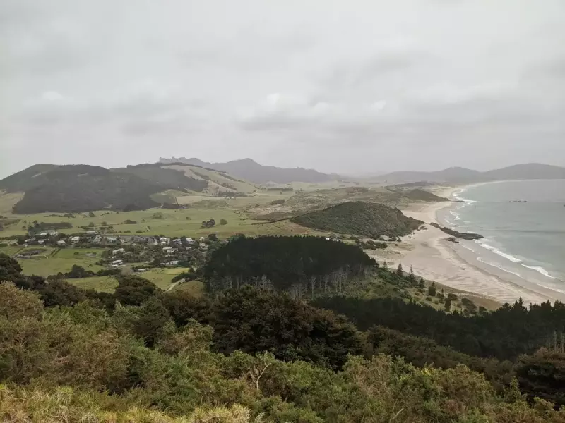 ファンガレイヘッズでトレイルラン