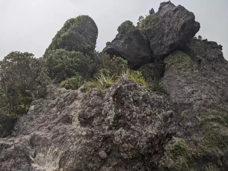 ファンガレイヘッズでトレイルラン