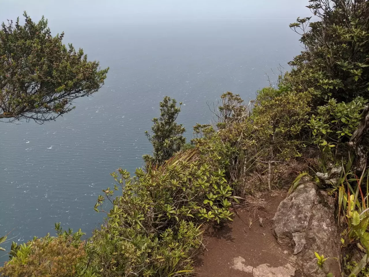 ファンガレイヘッズでトレイルラン