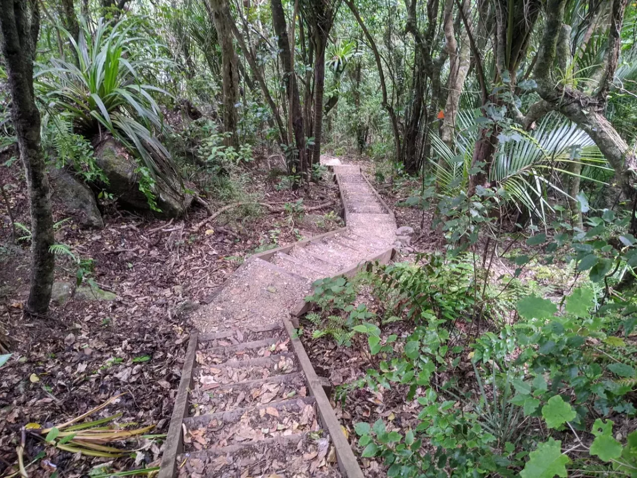 ファンガレイヘッズでトレイルラン