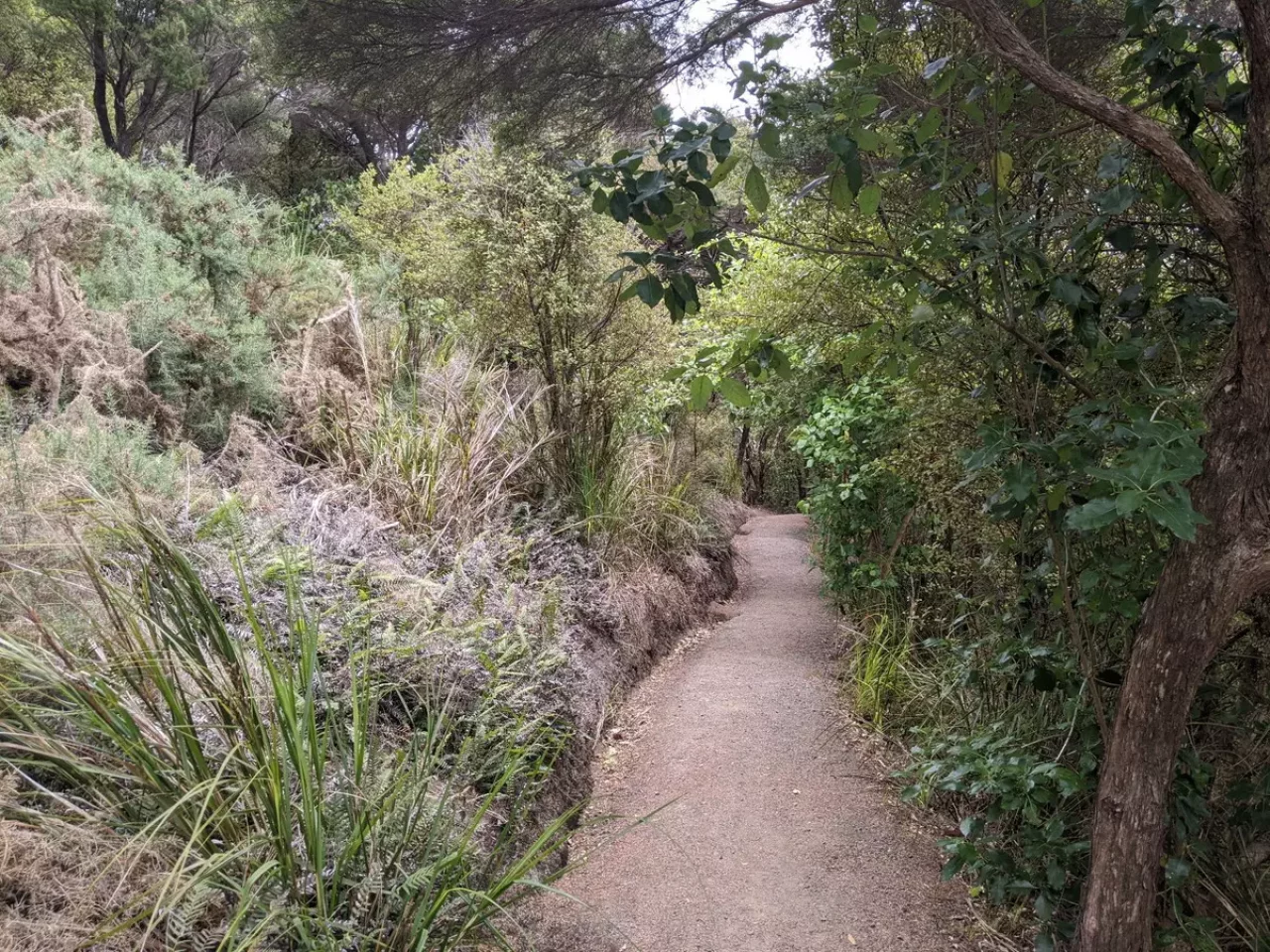 ファンガレイヘッズでトレイルラン