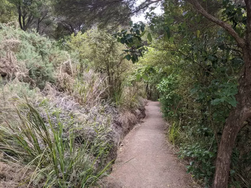 ファンガレイヘッズでトレイルラン