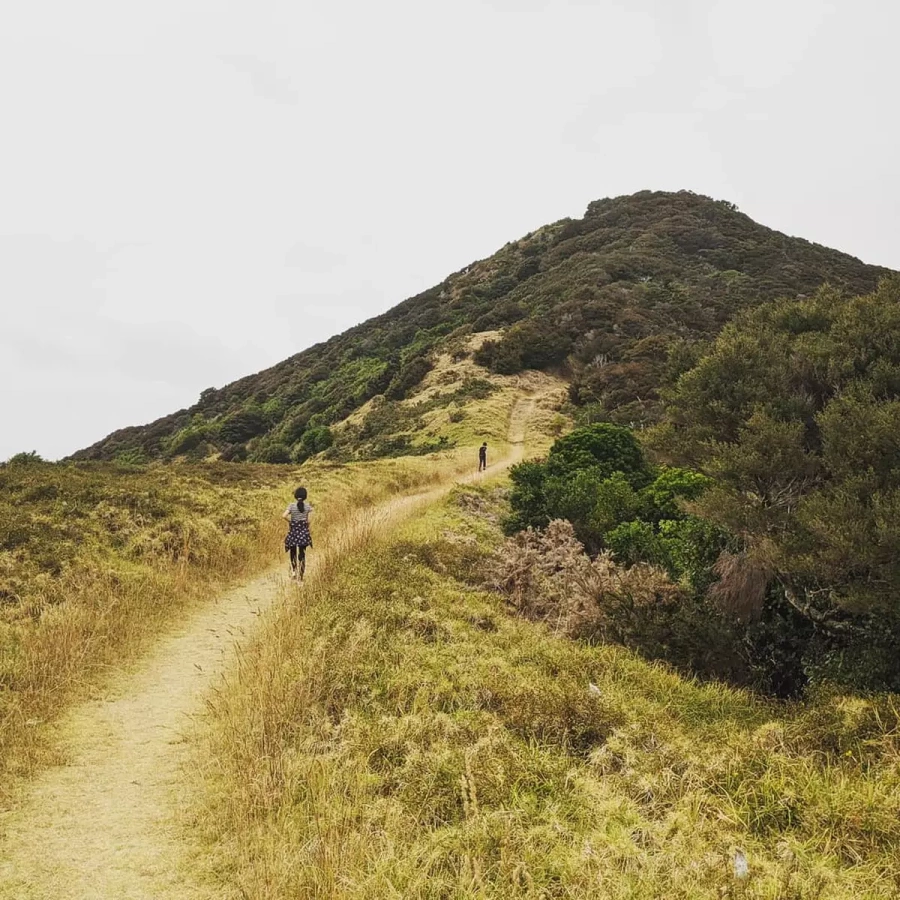 ニュージーランド・ローカル旅 ~南太平洋を一望するローカル登山~