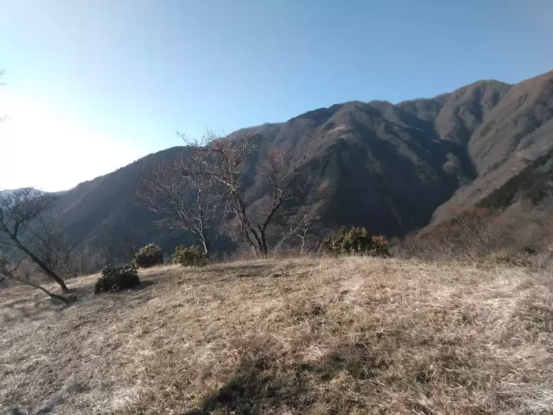 烏尾山 登山 登山道 眺望