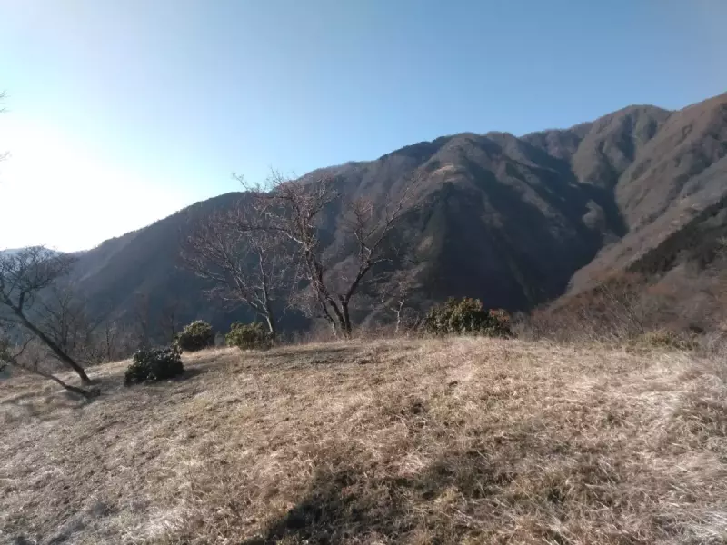 丹沢 三ノ塔 仲尾根 眺望