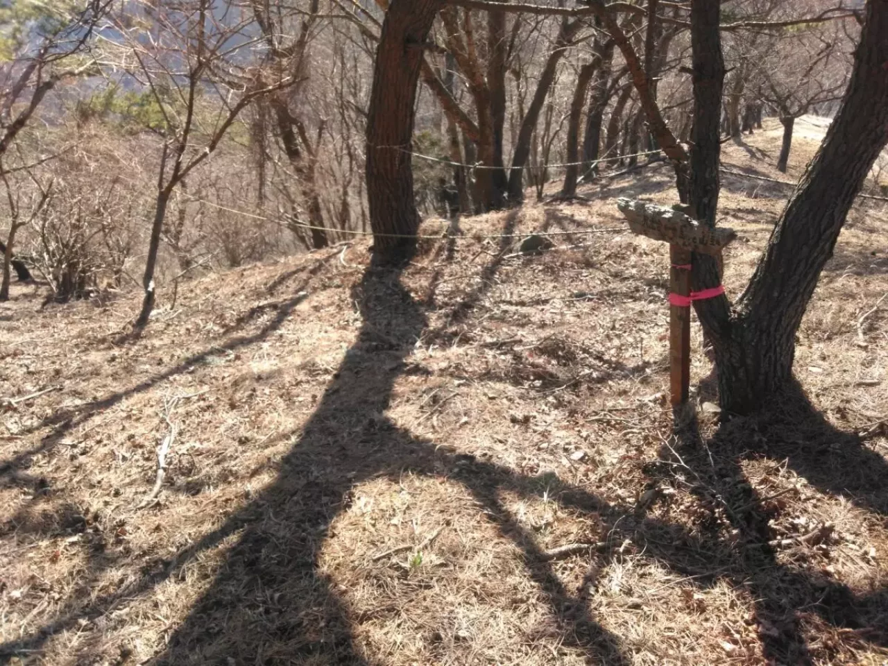 丹沢 三ノ塔 仲尾根