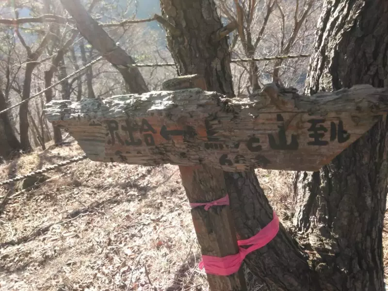 烏尾山 登山 登山道