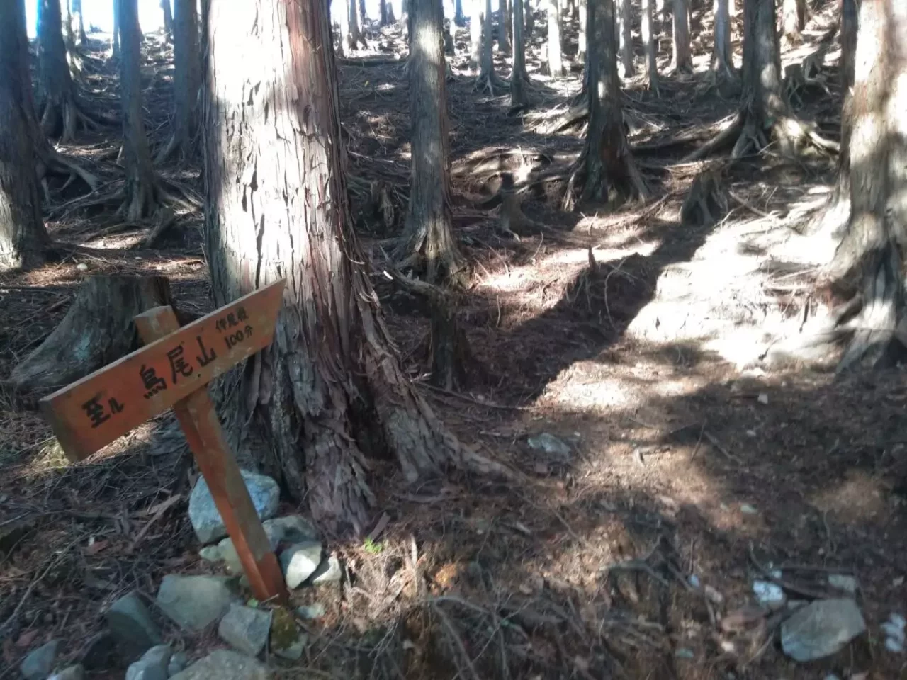 烏尾山 登山 登山口