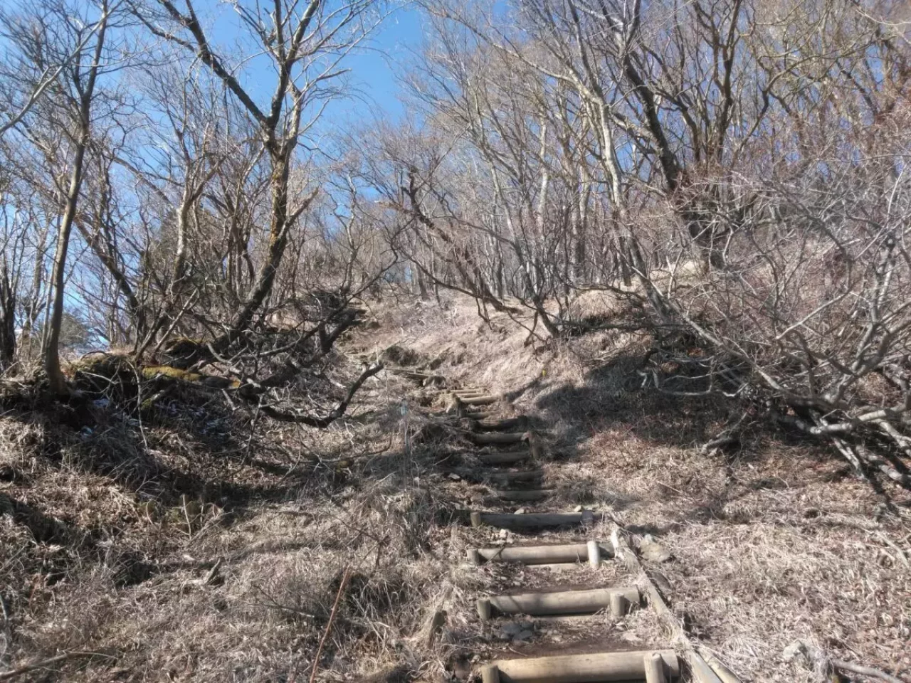 丹沢 三ノ塔 縦走路