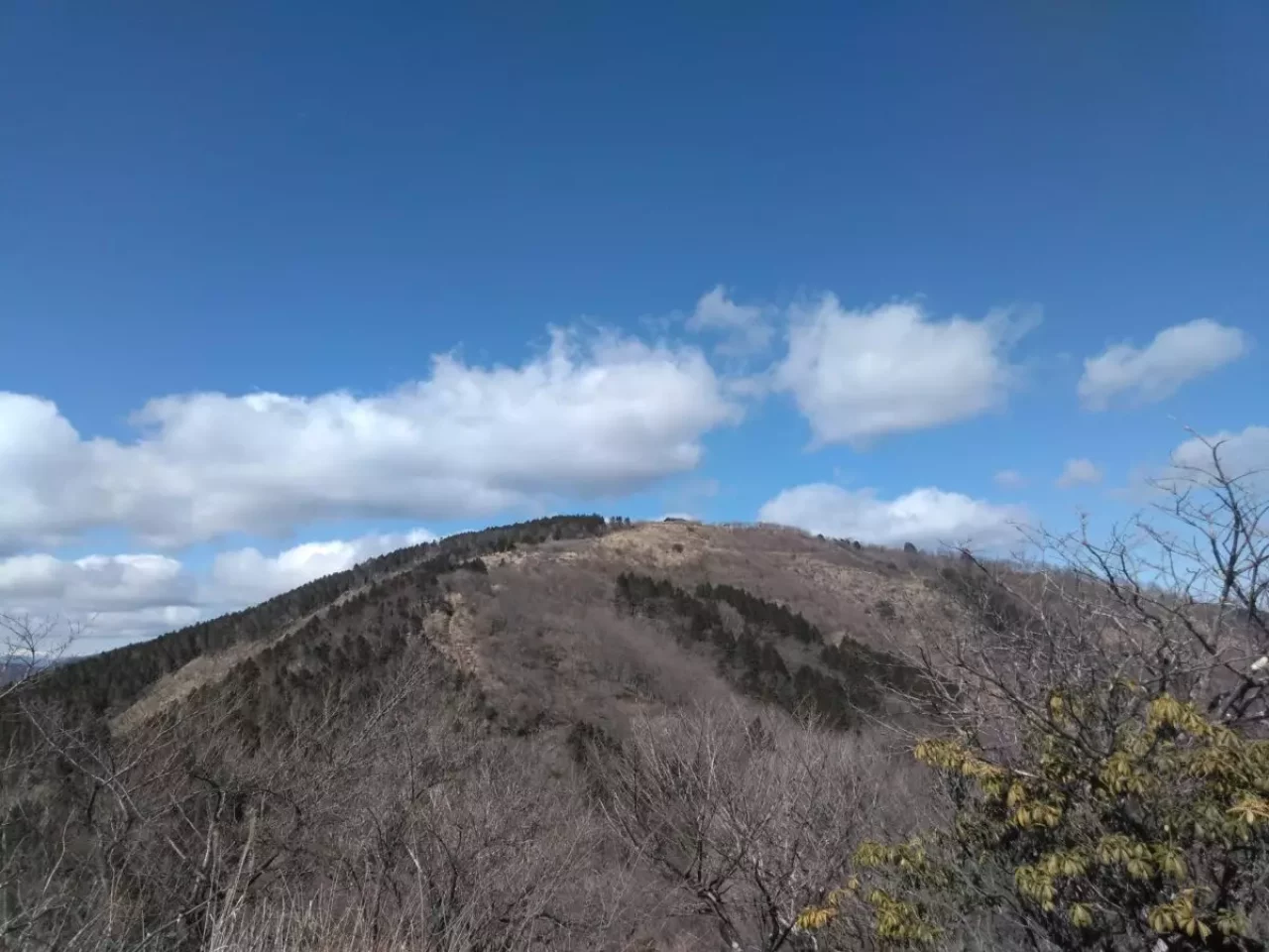 丹沢 三ノ塔 登山道