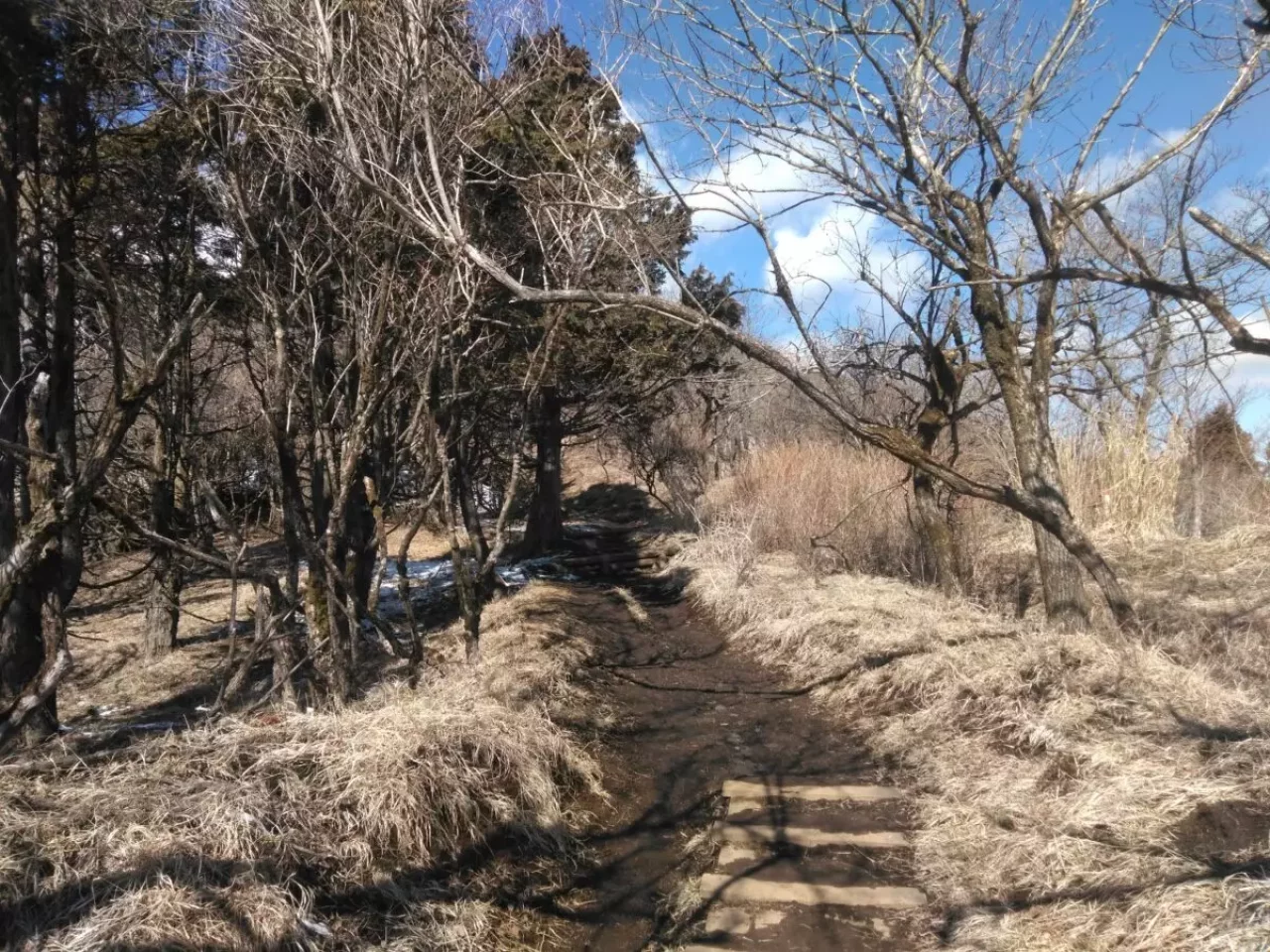丹沢 三ノ塔 登山道