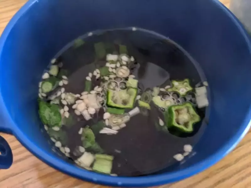 ファストパッキング時のお味噌汁