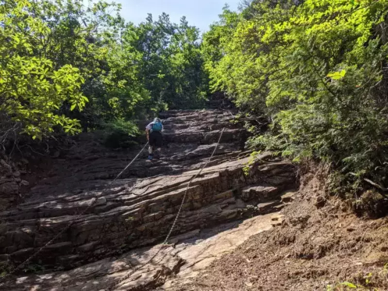 【東京近郊トレイルランコース】初心者におすすめ奥武蔵人気の山、伊豆ヶ岳を楽しむ|ルート紹介から探す|登山・トレラン・山スキーマガジン「山旅旅」