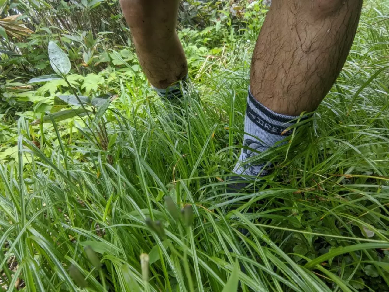 MERGE4のソックスでトレイルラン