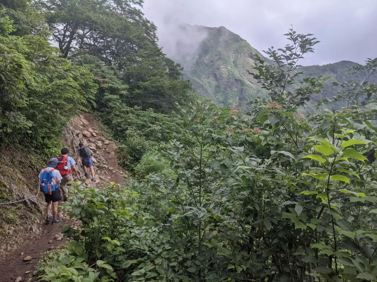 熱中症だと思ったら素早く摂取しよう