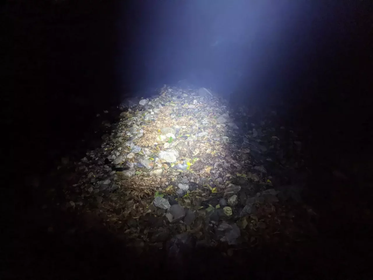 登山用ヘッドライト レッドレンザー MH5ハイモード