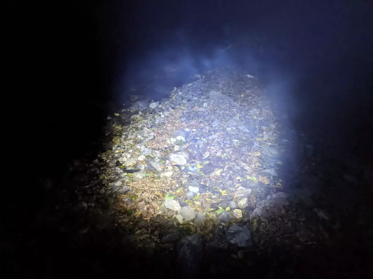 登山用ヘッドライト レッドレンザー MH5ハイモード