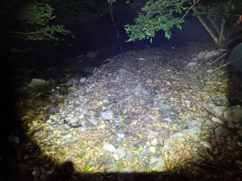 登山用ヘッドライト レッドレンザー MH5ハイモード