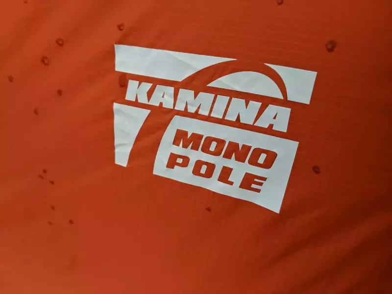 カミナモノポール