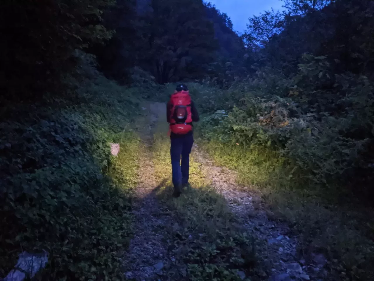 祖母谷温泉周辺の林道