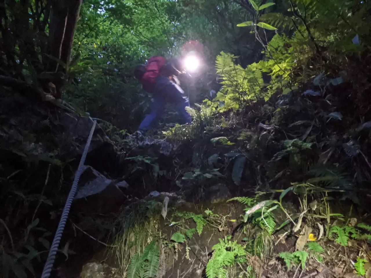 祖母谷温泉周辺の林道