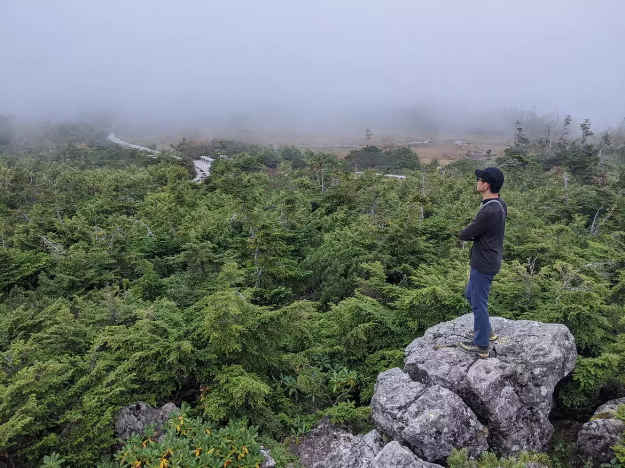 累積標高が少なく初心者登山におすすめの登山コース-栂池自然園より白馬岳